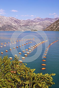 Beautiful Mediterranean landscape. Mussel farm, longline culture rope culture . Montenegro, Bay of Kotor