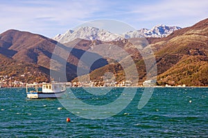 Beautiful Mediterranean landscape on sunny winter day. Montenegro, Adriatic Sea. View of Bay of Kotor near Tivat city