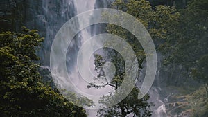 Beautiful medium shot of green tree in front of large jungle waterfall rushing down in exotic windy Sri Lanka forest.