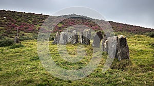 Beautiful Megalithic Cromlech in Galicia