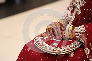 Beautiful Mehndi Designs on Bridal Hands