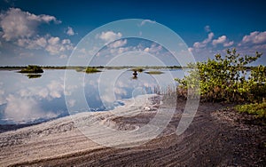 Beautiful Merritt Island preserve ponds at dawn