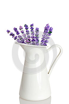 beautiful metal white flower vase decorative with lovely purple delicate flowers, isolated on white background, copy space