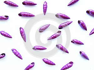 Beautiful metallized bright purple elongated spiral sea shells beads isolated objects on a white background