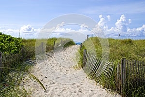 Beautiful miami beach