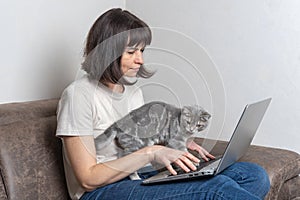 Beautiful middle aged woman with a cutecat works at home on a laptop. Middle-aged woman works remotely. photo