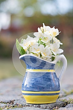 a beautiful mini bouquet of jasmine in a yellow-blue vase on a stone path