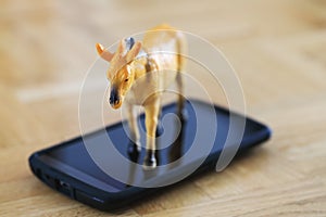 Beautiful miniature horse, plastic toy model on screen of cell phone.