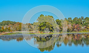 Beautiful mirror image of shoreline on Reed Bingham Lake in Adel, Colquitt County, Georgia