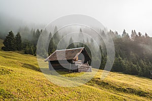 Hermoso brumoso manana en Baviera Cerca a sobre el alemania famoso Punto de vista Cerca a sobre el bávaros Alpes 