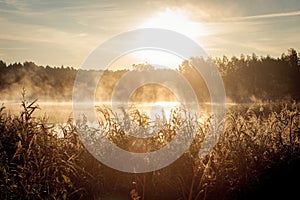 Beautiful misty sunrise over the lake