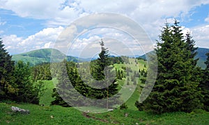 Beautiful mix of meadows and forest On the Velka Fatra Mts photo