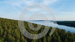 A beautiful mixed forest along the shore of the huge calm lake. Blue sky.