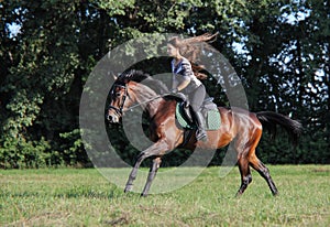 Beautiful model girl rides a horse in meadow at sunset