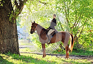 Beautiful model girl rides with horse in woods road in evening down