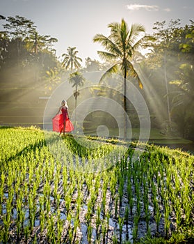Beautiful model in red dress at Tegalalang Rice Terrace 2 photo