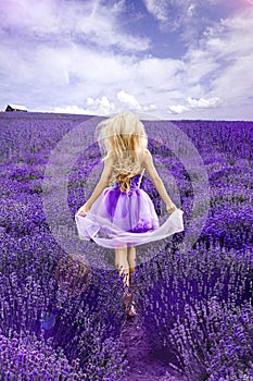 Beautiful model walking in spring or summer lavender field in sunrise . Blond long haired girl in lavender field