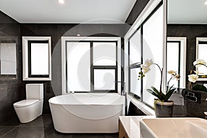 Beautiful modern bathroom in a modern home