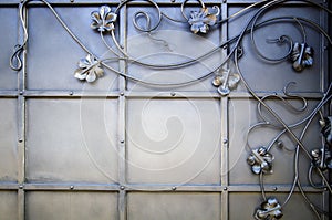 Beautiful modern decorative processing of metal gates by growths