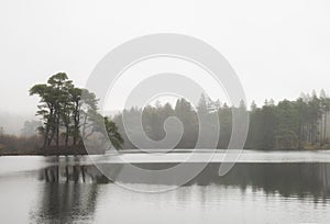Beautiful mody Autumn Fall landscape of woodland and lake with mist fog during early morning