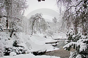 Beautiful moment in the English garden in winter