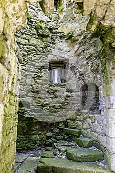 Beautiful Monea Castle by Enniskillen, County Fermanagh, Northern Ireland photo