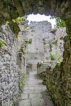 Beautiful Monea Castle by Enniskillen, County Fermanagh, Northern Ireland photo