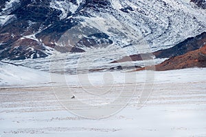 Beautiful Mongolian winter landscape snow mountain with a small figure of a rider on a black horse galloping through a wide snow-