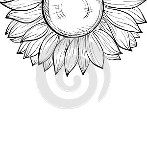 Beautiful monochrome black and white background with a floral border of sunflower