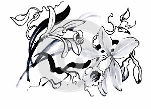 Beautiful monochrome, black and white flower isolated. Hand-drawn contour lines strokes.