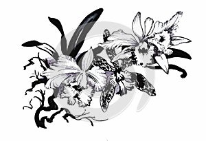 Beautiful monochrome, black and white flower isolated. Hand-drawn contour lines strokes.