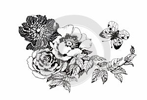 Beautiful monochrome, black and white flower isolated. Hand-drawn contour lines strokes.