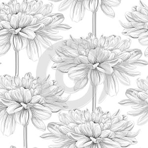 Beautiful monochrome, black and white seamless background with dahlia.