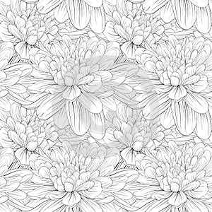 Beautiful monochrome, black and white seamless background with flowers dahlia.