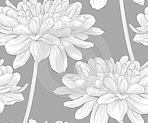 Beautiful monochrome, black and white seamless background with flowers dahlia with a stem.