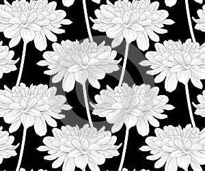 Beautiful monochrome, black and white seamless background with flowers dahlia with a stem.