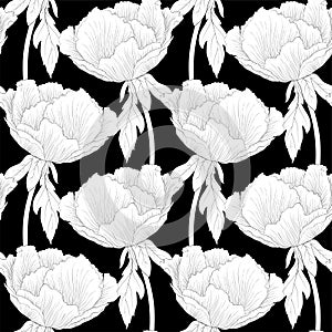 Beautiful monochrome, black and white seamless background with flowers Plant Paeonia arborea (Tree peony) with stem and leaves.