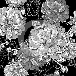 Beautiful Monochrome Seamless Rose Background