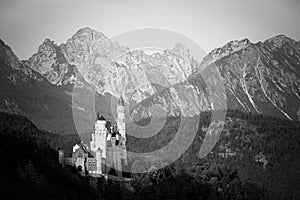 Beautiful monochrome view of world-famous Neuschwanstein Castle