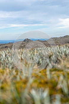 Beautiful and moody low angle evening view of the mountain landscape & grass seen from the summit of Mount Kosciuszko