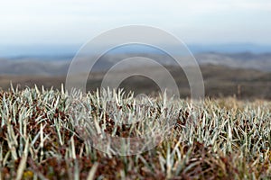 Beautiful and moody low angle evening view of the mountain landscape & grass seen from the summit of Mount Kosciuszko