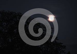 beautiful moonlight and night