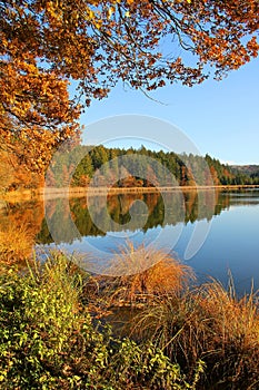 Beautiful moor lake in autum, bavarian landscape