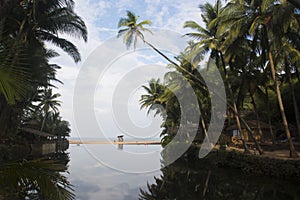 A beautiful morning at Cola Beach, Goa, India