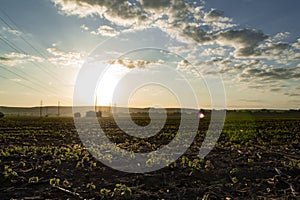 Beautiful morning colorful sunrise. View of foggy fields with blue cloudy sky. Scenic landscape