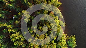 Beautiful morning green forest. View from the top of the trees, tents, cars.