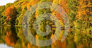 Beautiful morning landscape in an autumn park with picturesque trees by the lake