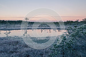 A beautiful morning landscape in a frozem swamp. A small swamp ponds in autumn. Quagmire un wetlands with reflections.