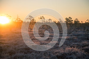 Beautiful morning landscape with a rising sun. Colorful scenery of a frozen wetlands in autumn. First frost in nature.