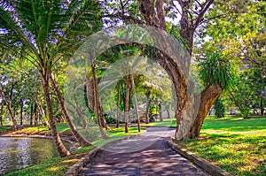 Beautiful morning light in in Lumpini Park